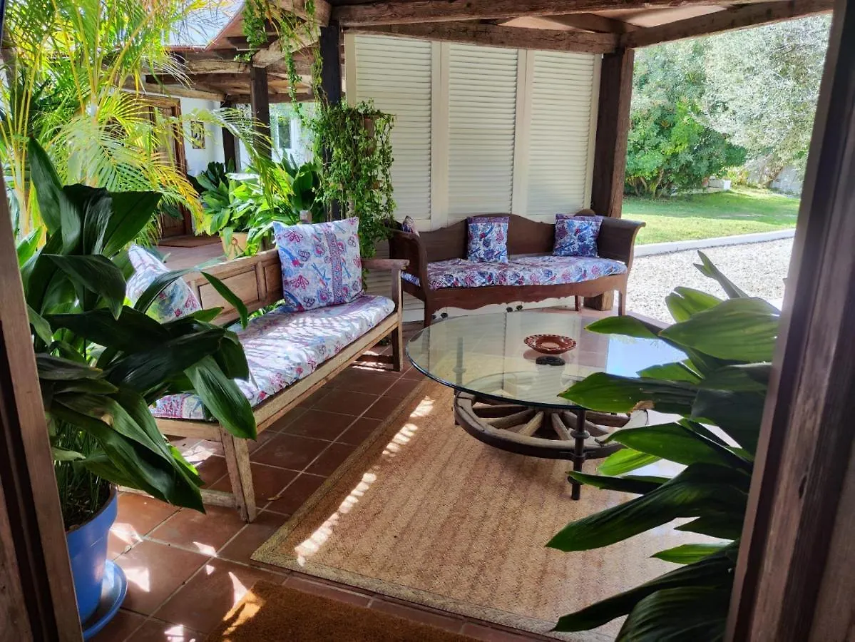 Vakantiehuis La Casita By Teresa Villa Marbella Spanje